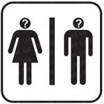 Изменитель голоса &quot;Sline&quot; на базе Panasonic, фото 1