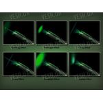 Оптика для лазерной указки Krypton S3 100мВт+, 250 мВт+, 500мВт+, 750мВт+, фото 1