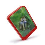 Фоторамка музыкальная, фото 1