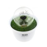 Декоративный романтический светящийся электронный LED цветок в горшке &quot;I Love U&quot;, фото 1