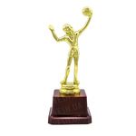 Статуэтка Волейболист, фото 1