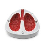 Пепельница кашляющая, фото 1