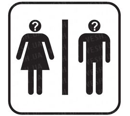 Изменитель голоса &quot;Sline&quot; на базе Panasonic, фото 1