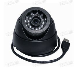 Автономная гибридная внутренняя купольная видеокамера со встроенным DVR видеорегистратором на micro SD картах памяти 640х480 и ИК подсветкой, фото 1