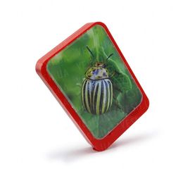 Фоторамка музыкальная, фото 1