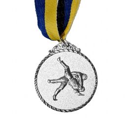 Медаль Спортивная маленькая Единоборства серебро, фото 1