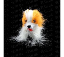 Собачка Пекинес ходит, фото 1