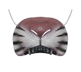 Нос Тигра, фото 1