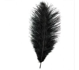 Перо страуса 35 см черное, фото 1