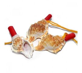 Свисток Ракушка, фото 1