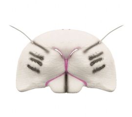 Нос Кролика, фото 1