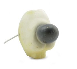 Нос Медведя, фото 1