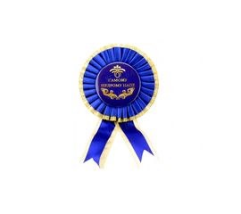 Орден большой Самому щедрому папе, фото 1