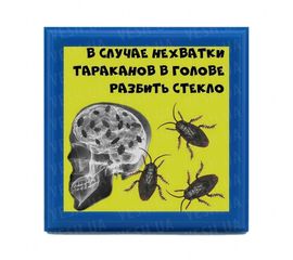 Рамка №2951 В случае нехватки тараканов разбить стекло, фото 1