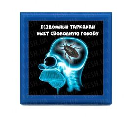 Рамка №2952 Бездомный таракан ищет голову, фото 1