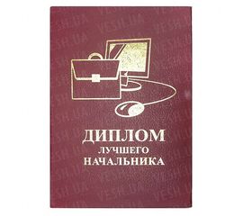 Диплом ЛУЧШЕГО НАЧАЛЬНИКА, фото 1