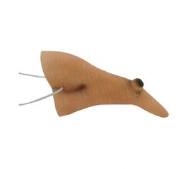 Нос Ведьмы, фото 1