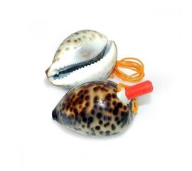 Свисток Ракушка тигровая, фото 1