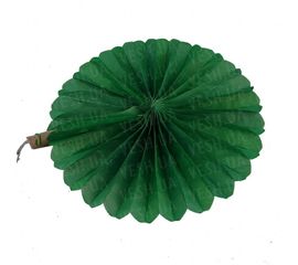 Веерный круг тишью 25 см темно зеленый 0026, фото 1