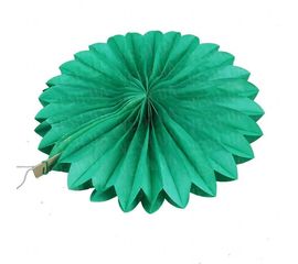 Веерный круг тишью 25 см зеленый 0015, фото 1