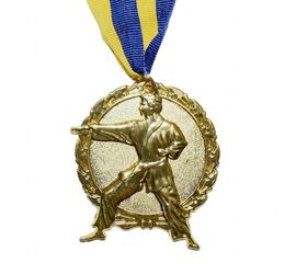 Медаль Спортивная большая Единоборства золото, фото 1