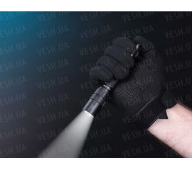 Фонарь Fenix FD20 Cree XP-G2 S3, фото 1