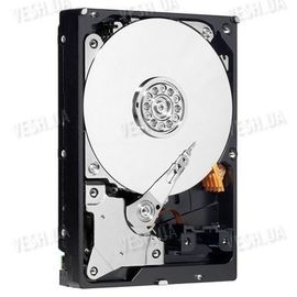 Винчестер (жёсткий диск) для стационарных видеорегистраторов Western Digital ёмкостью 250 Gb, фото 1