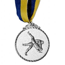 Медаль Спортивная маленькая Единоборства серебро, фото 1