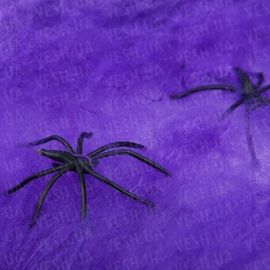 Паутина цветная с пауками фиолетовая, фото 1