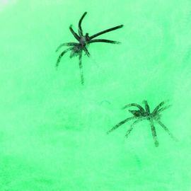 Паутина цветная с пауками зеленая, фото 1