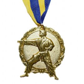 Медаль Спортивная большая Единоборства золото, фото 1