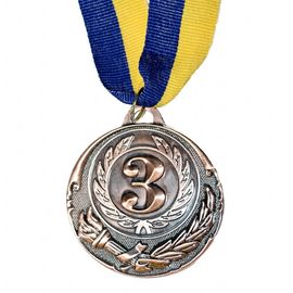 Медаль Спортивная большая бронза, фото 1