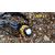 Налобный фонарь Fenix HP11 Cree XP-G (R5), фото 4 Налобный фонарь Fenix HP11 Cree XP-G (R5), фото 4