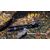 Фонарь Fenix LD22 Cree XP-G R5 : -LD серия, фото 15 Фонарь Fenix LD22 Cree XP-G R5 : -LD серия, фото 15
