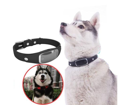 GPS ошейник для собак - трекер Pet Tracker S1, водонепроницаемый черный, фото 1