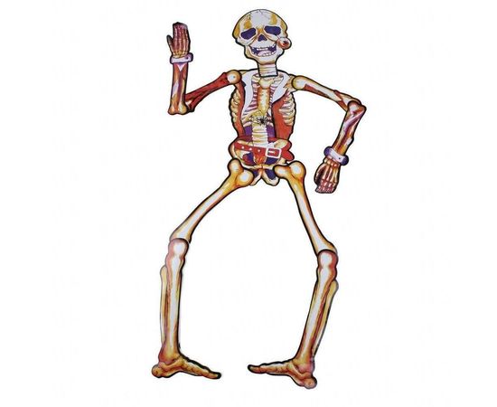 Товар распродан - Декор настенный 85 см Скелет желтый - Аксессуары для праздника, фото 1 Товар распродан - Декор настенный 85 см Скелет желтый - Аксессуары для праздника, фото 1