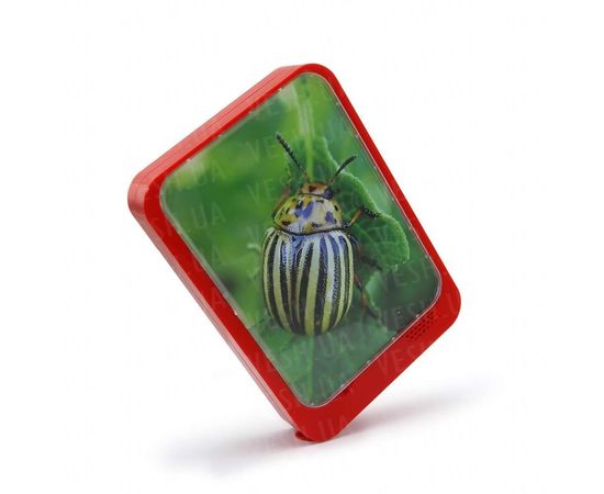 Товар распродан - Фоторамка музыкальная - Фото рамки и рамки для картин, фото 1