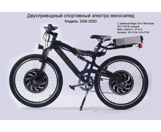Электробайк Golden Motor SEB-350D, фото 1 Электробайк Golden Motor SEB-350D, фото 1