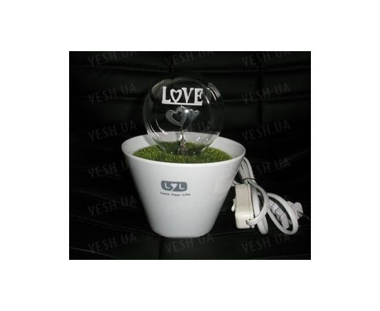 "Декоративный романтический светящийся электронный LED цветок в горшке ""I Love U""", фото 2 "Декоративный романтический светящийся электронный LED цветок в горшке ""I Love U""", фото 2