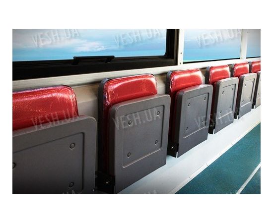 BYD EBUS-12 Электроавтобус (спецтранстпорт), фото 5