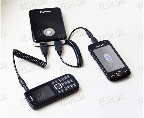 Мобильное зарядное устройство FPB-8000, фото 3