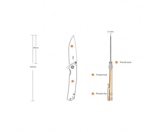 Нож Ruike P801-SF : -Ножи Ruike, фото 4