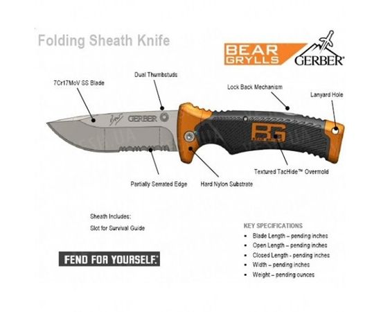 Нож Gerber Bear Grylls Folding Sheath Knife 31-000752 : -GERBER - BEAR GRYLLS, фото 2 Нож Gerber Bear Grylls Folding Sheath Knife 31-000752 : -GERBER - BEAR GRYLLS, фото 2