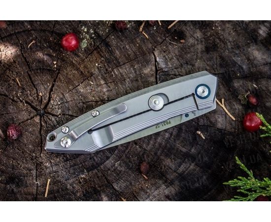 Нож Ruike P831-SF : -Ножи Ruike, фото 9