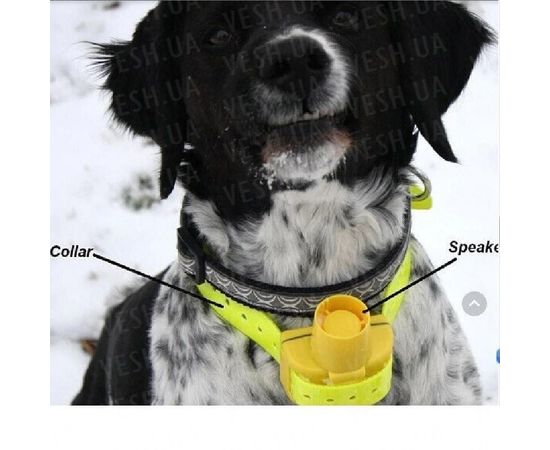 Бипер для охотничьих собак Janpet JPD100 водонепроницаемый желтый, фото 5