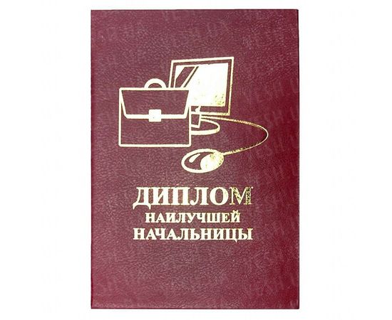 Товар распродан - Диплом НАИЛУЧШЕЙ НАЧАЛЬНИЦЫ - Сувенирные значки награды, фото 1