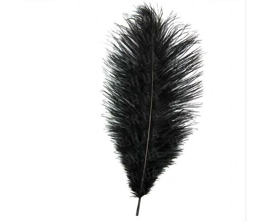 Товар распродан - Перо страуса 35 см черное - Карнавальные аксессуары, фото 1 Товар распродан - Перо страуса 35 см черное - Карнавальные аксессуары, фото 1