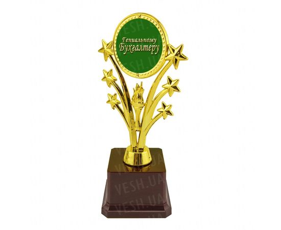 Товар распродан - Статуэтка Гениальному бухгалтеру Звездный салют - Статуэтки, фото 1