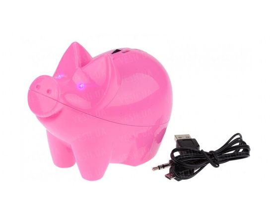 Товар распродан - Свинья с MP3 - Портативная акустика, фото 1