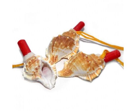 Товар распродан - Свисток Ракушка - Аксессуары для праздника, фото 1